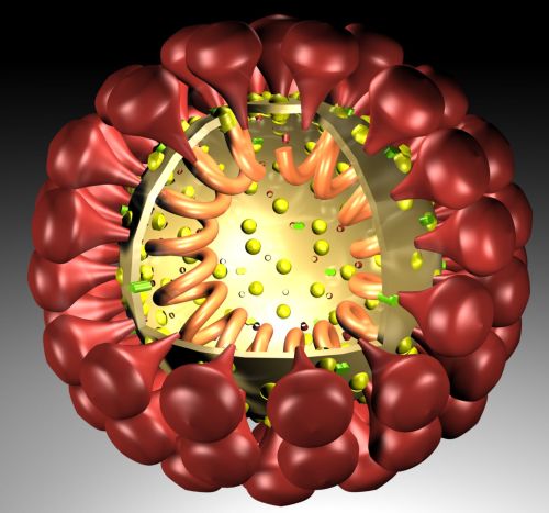 Coronavirus schematisch